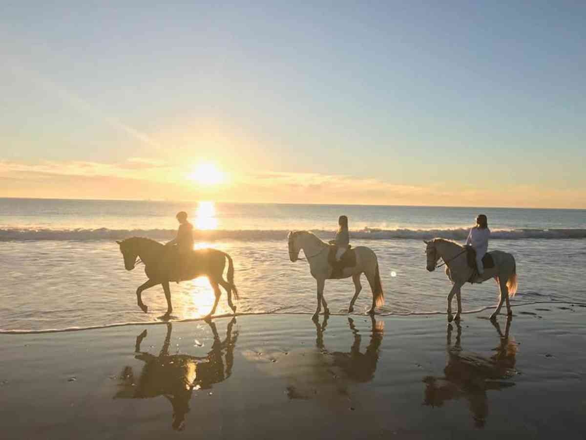 horseback-beach-cadiz-sunset