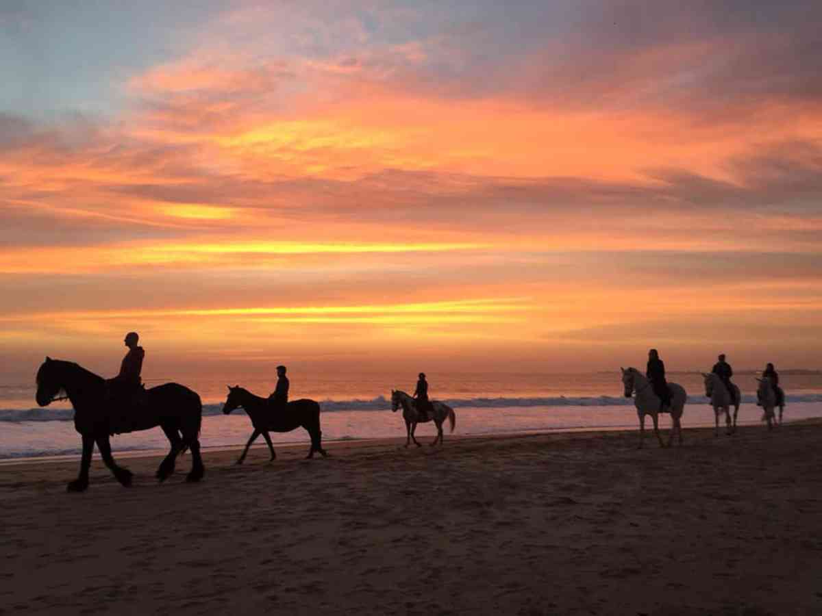 horseback-beach-cadiz