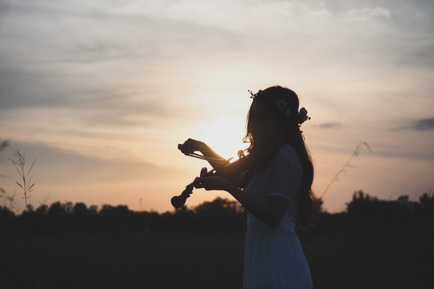 violin-vineyard-sunset